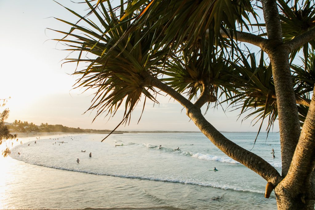 Beach scene at sunset with palm-tree branches in the foreground and people swimming in a calm bay.